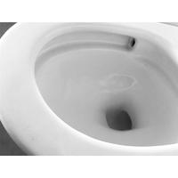 YS24271 Einteilige Toilette aus Keramik, mit Absaugsystem;