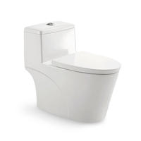 YS24284 Einteilige Toilette aus Keramik, mit Absaugsystem;