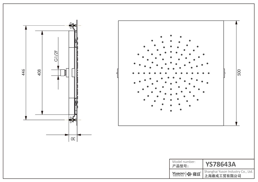 YS78643A SUS304 Regenduschkopf, Deckenmontage;